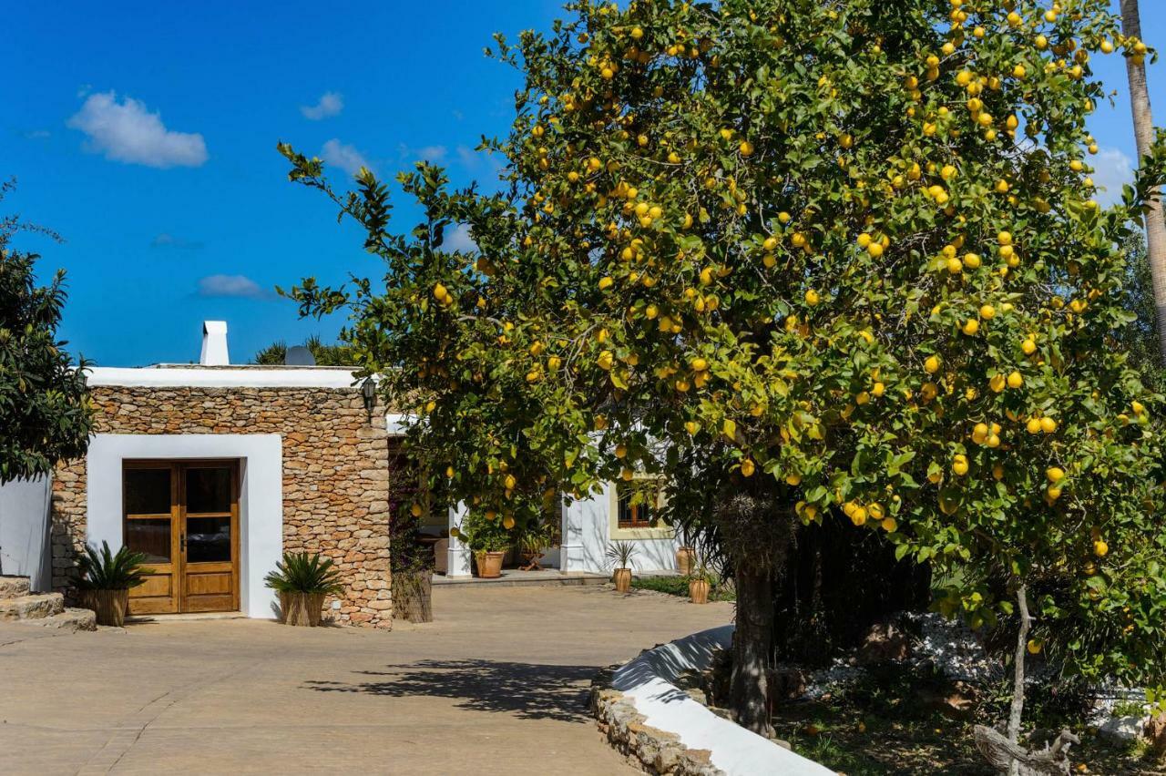 Villa Can Fita Puig D'en Valls Exterior foto